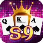 S9 Game